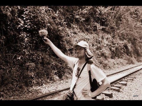 goldwill - night train (forgotten archive 01)