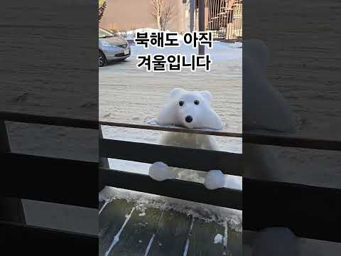 겨울 감성을 가득 담은 스티어나비의 마음 따뜻해지는 음악