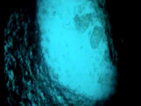 Pigadi Vouliagmenis-Kostas Plessias.wmv