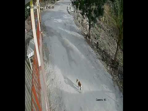 Mejoramiento calle rural sector Hilda Cruz Aldea San Luis Buena Vista San Cristobal Acasaguastlan 3