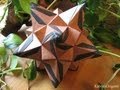 Origami Megapolis Kusudama 