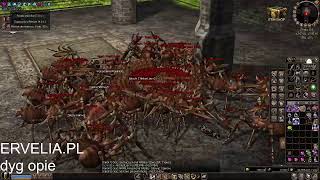 Miniaturka - gramy ervelia 1like = 1kod sm 100