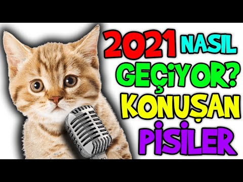 2021 Konuşan Pisiler İçin Nasıl Geçiyor?🤣