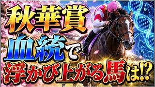 【秋華賞2026】対モンロウォーク、血統から浮かび上がる注目馬は？京都芝2000mを分析！[競馬予想]