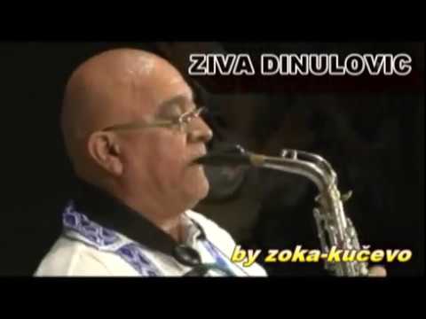 Ziva Dinulovic - Lepa Vlaska izvorna kola - UZIVO -