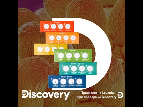 Миниатюра изображения товара Набор микропрепаратов Levenhuk Discovery Флора / 78225 (12шт)