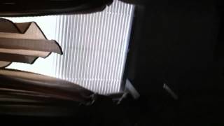 Lonely side of Bluethaniel