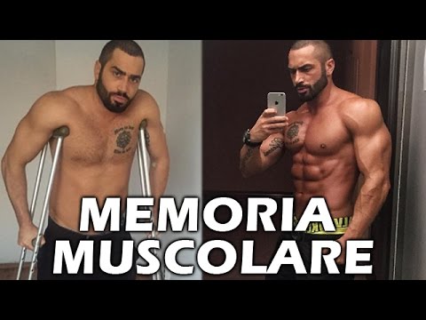 Cane di cuore di vermi Lanalisi su uninterpretazione lyambliya