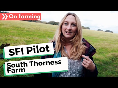 SFI pilot video diary - hear from Jess and family from South Thorness Farm