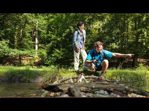 Wandern im Spessart - Bad Orb