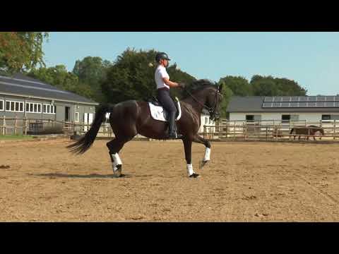 Galina Hena  (Fürstenball /  Don Gregory)