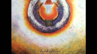 David Sylvian - The Healing Place (Remastered edition)