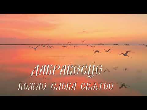 Дабравесце video thumbnail