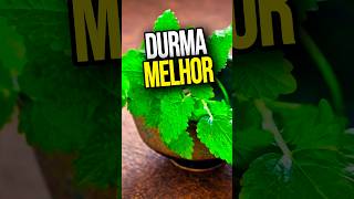 Essa planta pode mudar sua rotina à noite