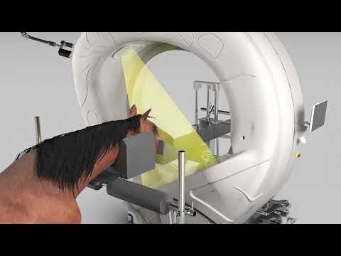 Pegaso Evolution Overview - Horse CT Scan - an Epica product