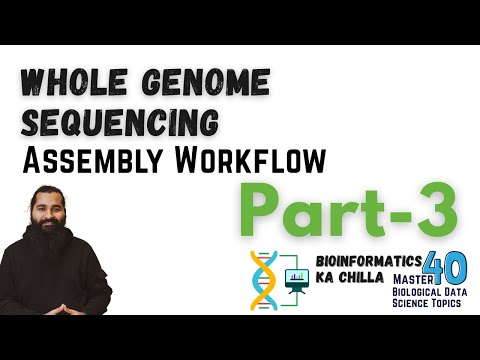 Whole Genome Sequencing Assembly Workflow Part 1 From Zero to Hero
