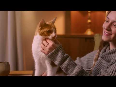 Cats Protection