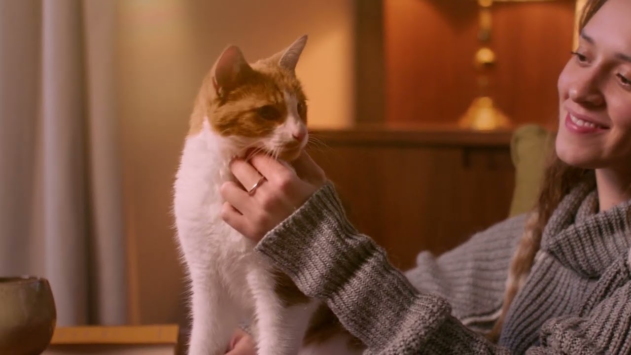 If cats could talk, what would they say?