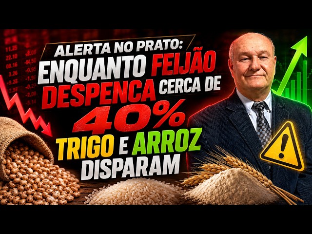 Alerta no Prato: Enquanto Feijão Despenca cerca de 40%,Trigo e Arroz Disparam.