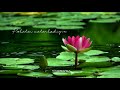 Chandiranai Thottathu Yaar Cover Song Madhu Status World