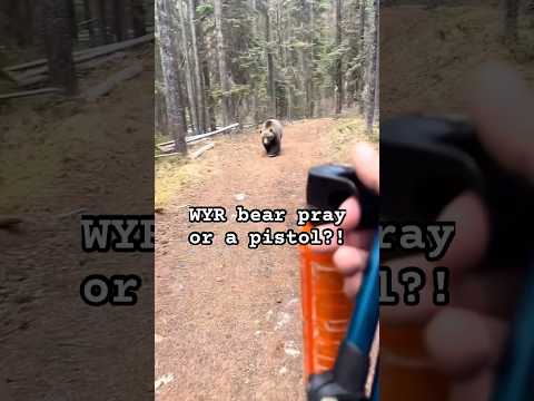BEAR SPRAY or PISTOL? (What would you rather)