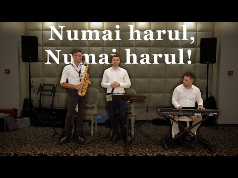 Bogdan Ivan - Numai Harul - Colaj muzică creștină 2025 | LIVE |