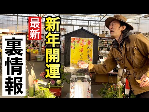 旧暦: 2022 年 8 月の月を使ってガーデニングをするには?  庭園