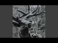 A Desolation Song (2016 - Remaster)