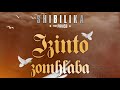 Izinto Zomhlaba Ft PRVIS3
