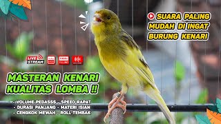 Download lagu 92 Points‼️ Best TRAINING SONG for CANARY - Your Canary SINGING Like CHAMPIONS mp3 Download lagu 92 Points‼️ Best TRAINING SONG for CANARY - Your Canary SINGING Like CHAMPIONS mp3