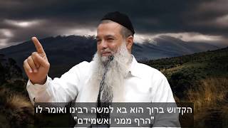 כיפור: סגולה לזכות בדין! - הרב יגאל כהן HD