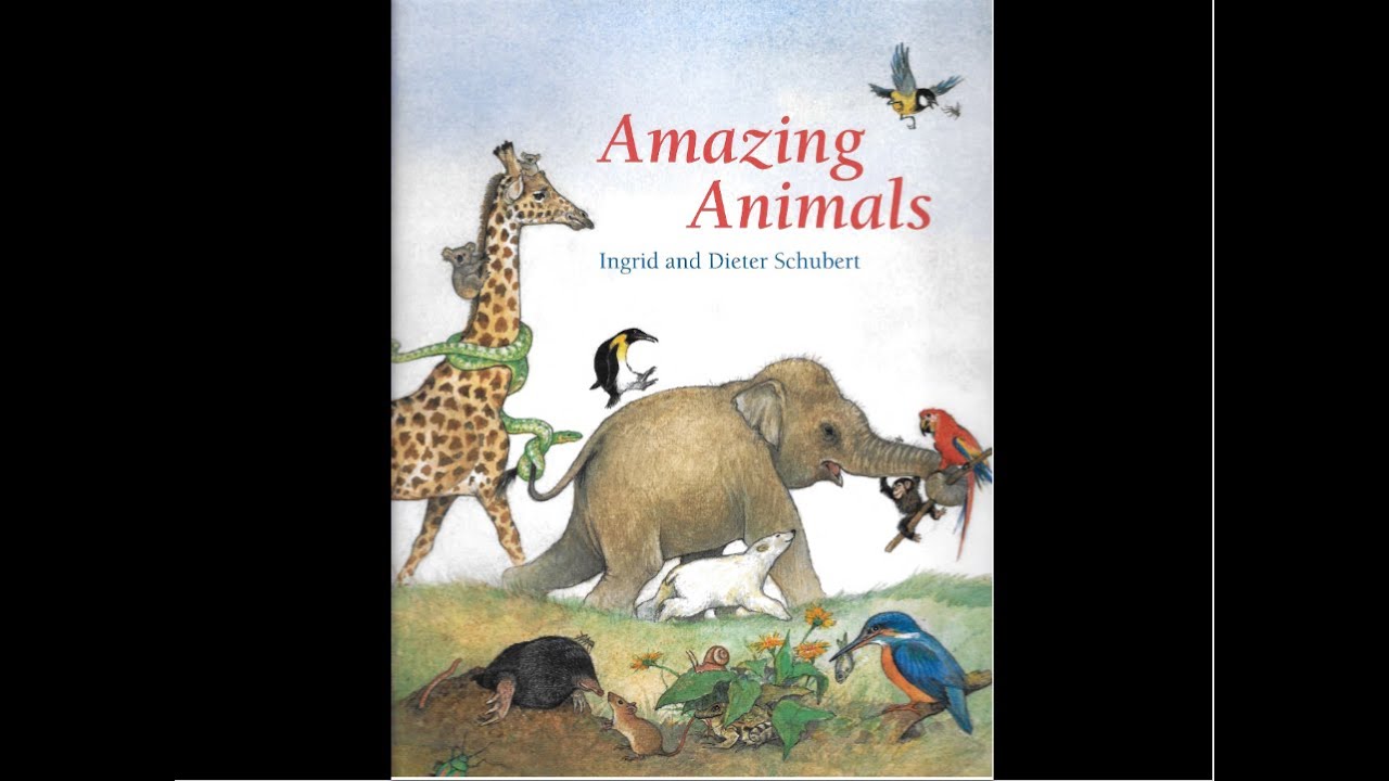 Amazing Animal -Read Aloud