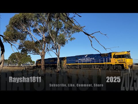 5MP2 - NR29-NR121 (PacNat steel) Murgheboluc - Australian Trains by Raysha1811