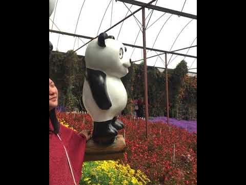 Happy Birthday Maiza