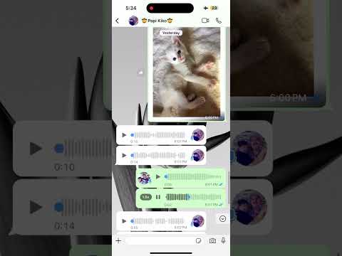 LE REGALO UN GATITO FINO