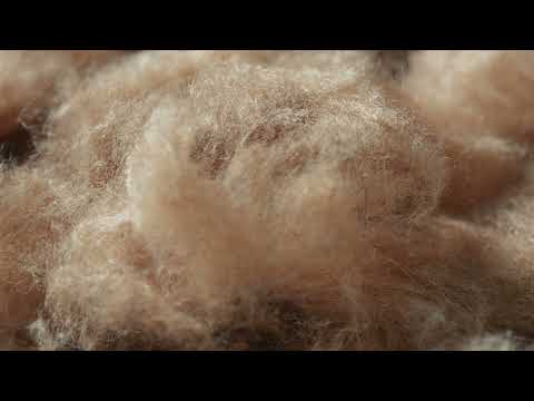 SS22   MAX MARA THE CUBE   CAMELUXE   VIDEO MAKING