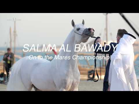 🌹 SALMA AL BAWADY 🌹⁣ Highest Score in Type of all Mares, 2022 KIAHF ARABIAN PENINSULA CHAMPIONSHIP