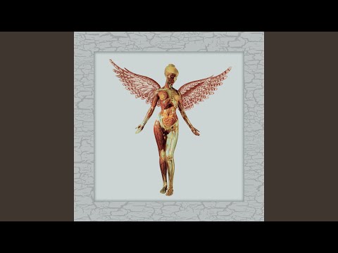 Milk It (Live In Seattle, Seattle Center Arena - January 7, 1994)