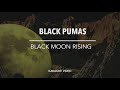 Black Pumas - Black Moon Rising [karaoke]