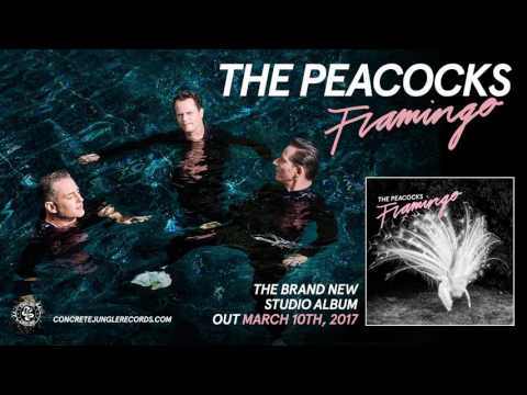 The Peacocks - A Lie and a Cheat (Album Track) - Concrete Jungle Records