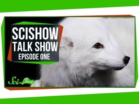 SciShow Talk Show #2