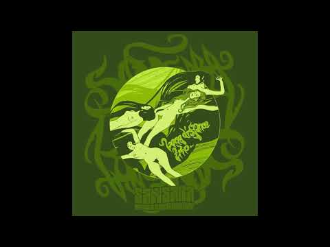 Samsara Blues Experiment - Long Distance Trip (Full Album - 2010)