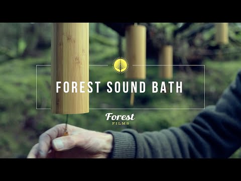 A forest sound bath, elemental chimes played in the woods - earth, air, fire, water.