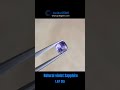 The Surprising Truth About Violet Sapphires Nobody Tells You!