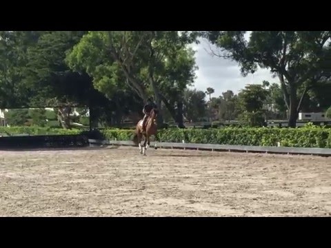 Fernando schooling 1/1-2016 Wellington