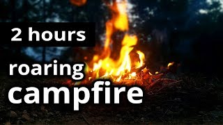 ROARING CAMPFIRE: Campfire sleep sounds, bonfire in the woods at night - SLEEP SOUNDS / RELAXATION