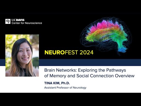 Tina Kim, Ph.D. —  Brain Networks: Exploring the Pathways of Memory and Social Connection Overview