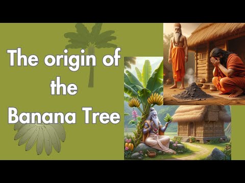 The Enigmatic Tale of Rishi Durvasa and the Banana Tree