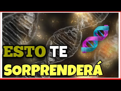 ▶︎▶︎ What is EPIGENETICS 🧬 the NEW BIOLOGICAL REVOLUTION 🔬
