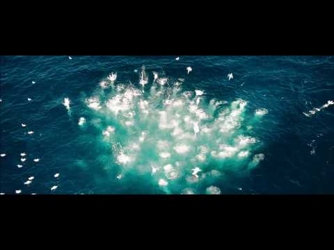 Oceans (Clip 'Fish Frenzy')
